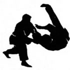 Hapkido em Ponta Grossa