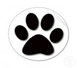 Pet Shops em Ponta Grossa